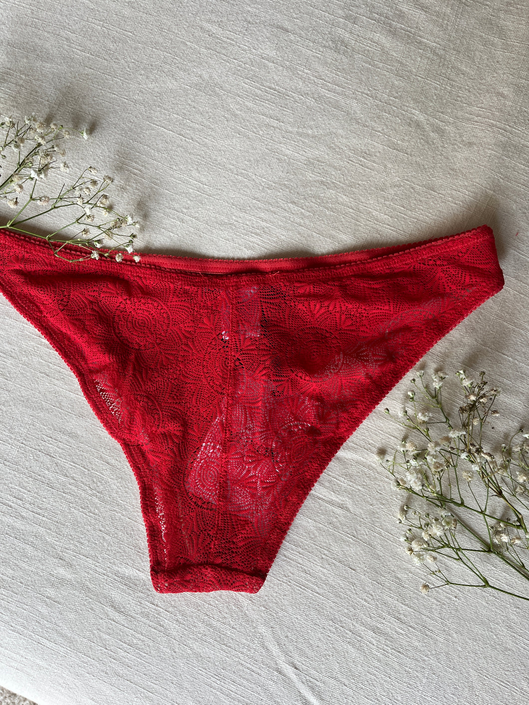 Cora Lace Panty